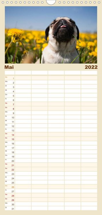Produktbild: Mops - Familienplaner hoch (Wandkalender 2022 , 21 cm x 45 cm, hoch)