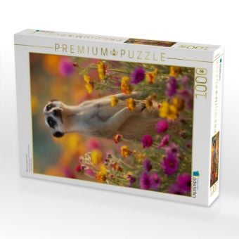 Produktbild: CALVENDO Puzzle Blumen und gute Laune | 1000 Teile Lege-Gr&ouml;&szlig;e 64x48cm Foto-Puzzle f&uuml;r gl&uuml;ckliche Stunden