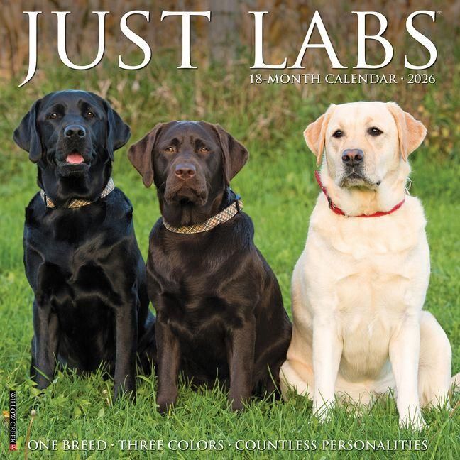 Produktbild: Labs 2026 Wall Calendar