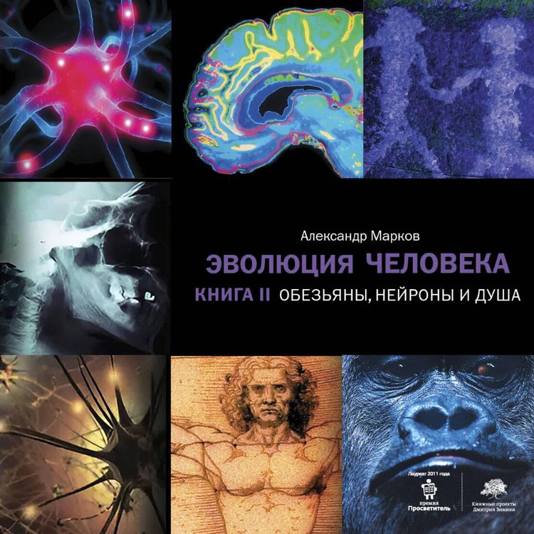 Produktbild: Evolyutsiya cheloveka. Kniga II. Obez'yany, neyrony i dusha