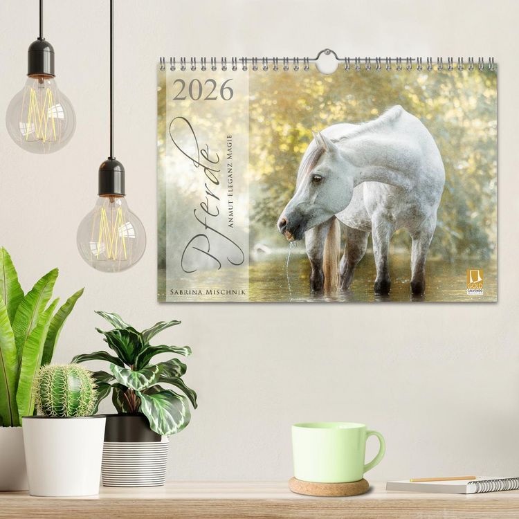 Produktbild: Pferde - Anmut, Eleganz, Magie (Wandkalender 2026 DIN A4 quer), CALVENDO Monatskalender
