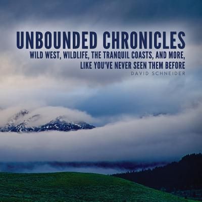 Produktbild: Unbounded Chronicles