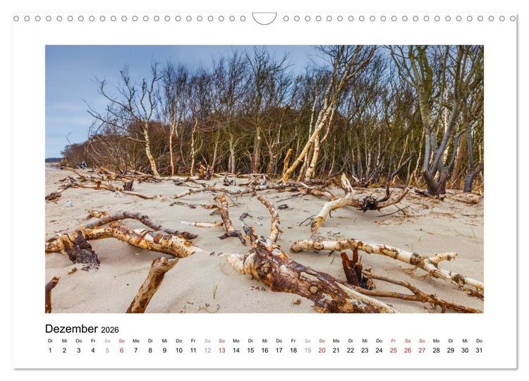 Produktbild: Ostsee - Spaziergang am Meer (Wandkalender 2026 DIN A3 quer), CALVENDO Monatskalender