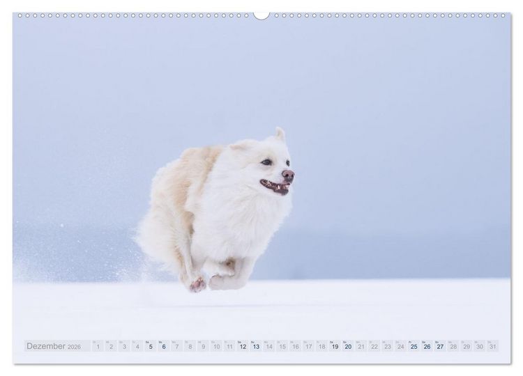 Produktbild: Mein fliegender Isl&auml;nder (Wandkalender 2026 DIN A2 quer), CALVENDO Monatskalender