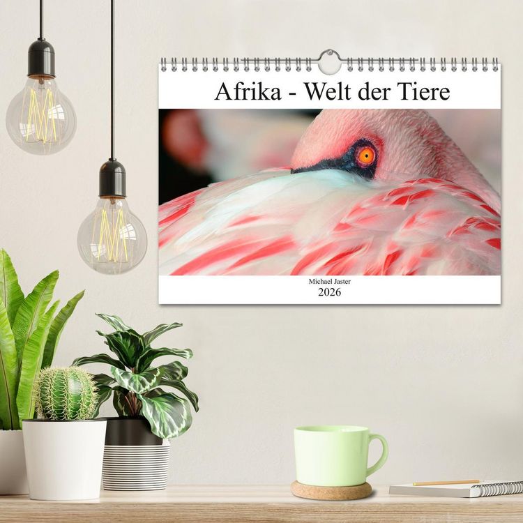 Produktbild: Afrika - Welt der Tiere (Wandkalender 2026 DIN A4 quer), CALVENDO Monatskalender