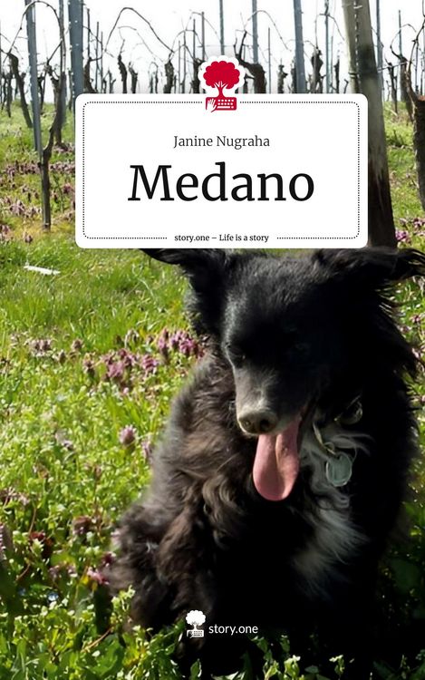 Produktbild: Medano. Life is a Story - story.one