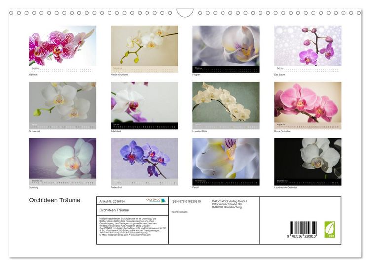 Produktbild: Orchideen Tr&auml;ume (Wandkalender 2026 DIN A3 quer), CALVENDO Monatskalender