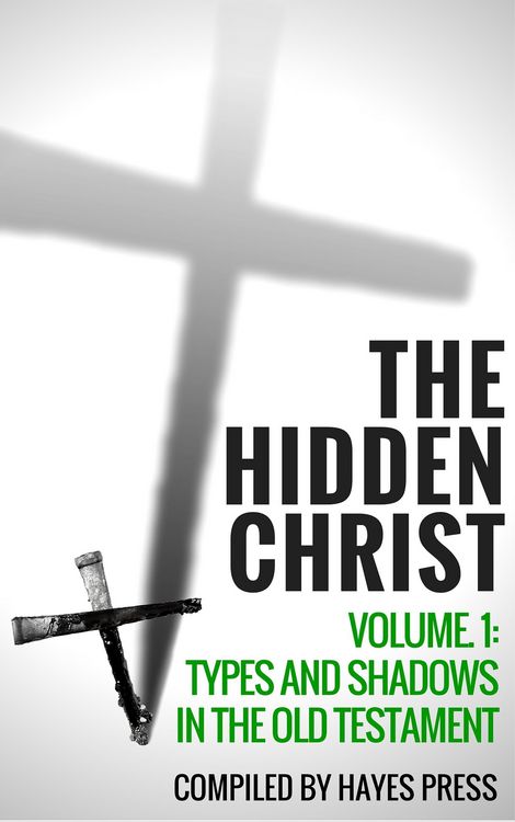 Produktbild: The Hidden Christ Volume 1: Types and Shadows in the Old Testament