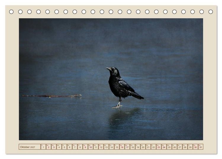 Produktbild: V&ouml;gel am Chemnitzer Schlossteich (Tischkalender 2027 DIN A5 quer), CALVENDO Monatskalender