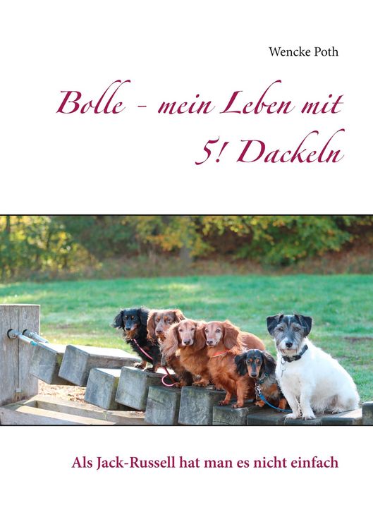 Produktbild: Bolle - mein Leben mit 5! Dackeln