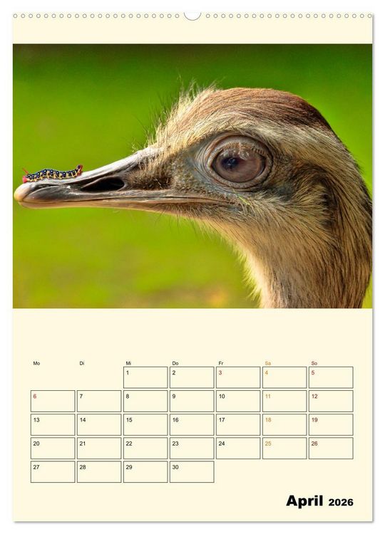Produktbild: Lustig verr&uuml;ckt - der Tierkalender (hochwertiger Premium Wandkalender 2026 DIN A2 hoch), Kunstdruck in Hochglanz