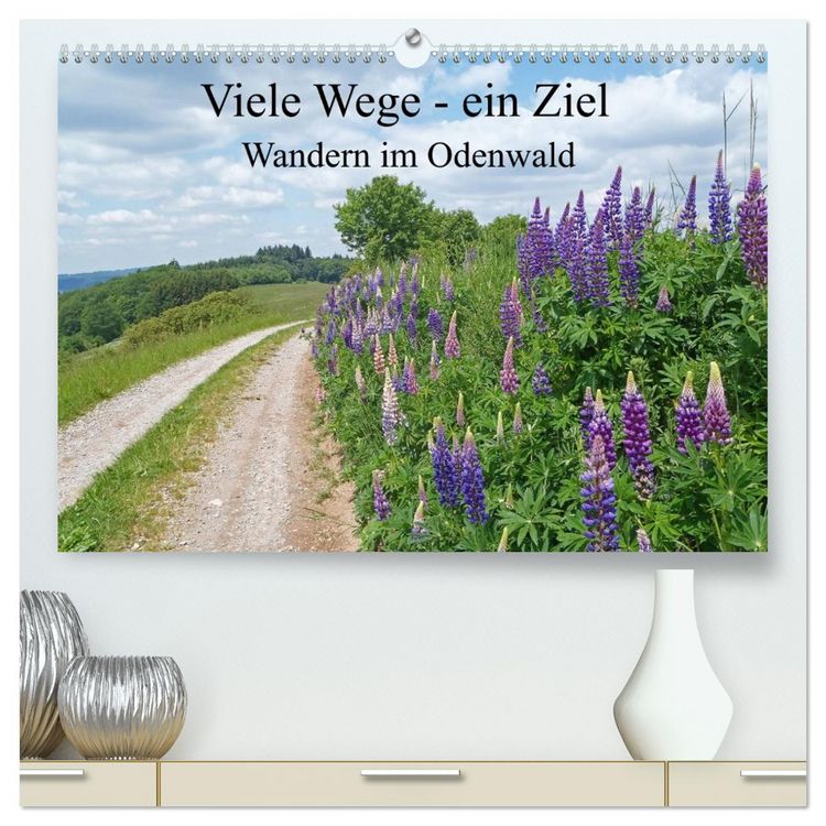 Produktbild: Viele Wege - ein Ziel Wandern im Odenwald (hochwertiger Premium Wandkalender 2026 DIN A2 quer), Kunstdruck in Hochglanz