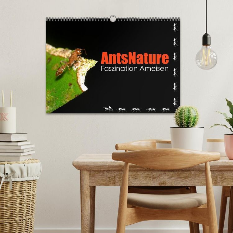 Produktbild: AntsNature - Faszination Ameisen (Wandkalender 2026 DIN A3 quer), CALVENDO Monatskalender