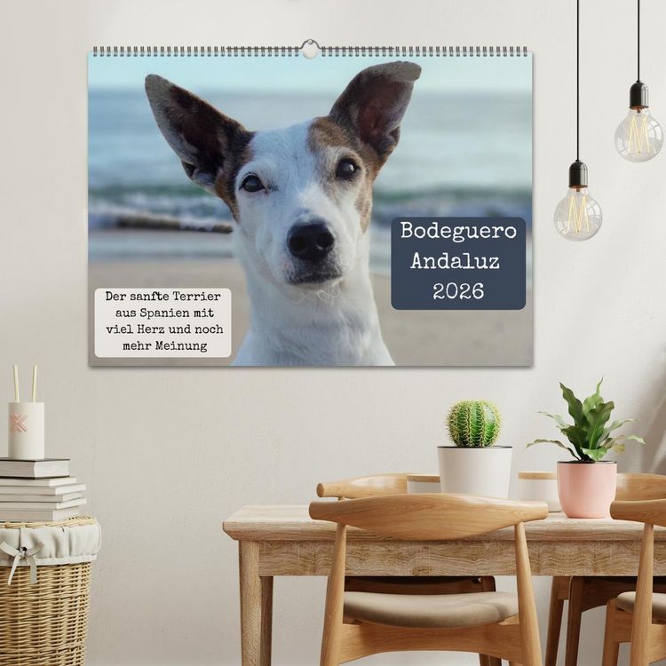 Produktbild: Ratonero Bodeguero Andaluz (Wandkalender 2026 DIN A2 quer), CALVENDO Monatskalender