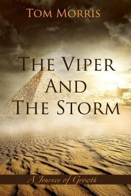 Produktbild: The Viper and the Storm