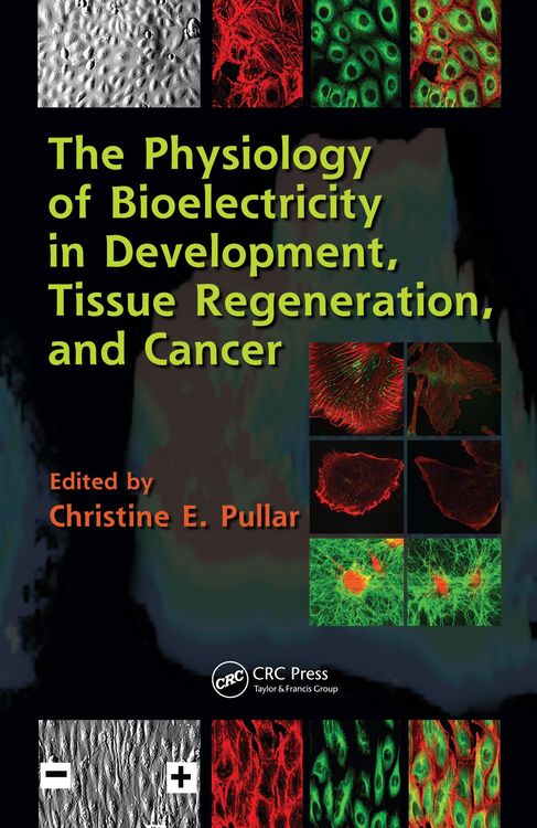 Produktbild: The Physiology of Bioelectricity in Development, Tissue Regeneration and Cancer