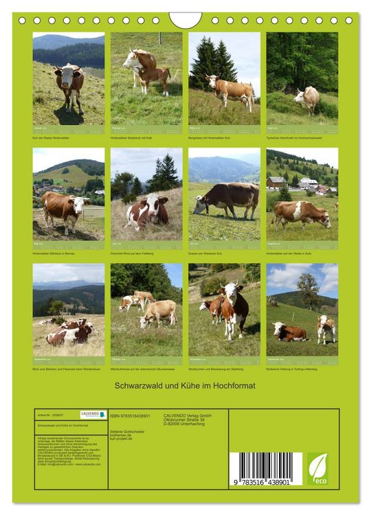Produktbild: Schwarzwald und K&uuml;he im Hochformat (Wandkalender 2026 DIN A4 hoch), CALVENDO Monatskalender