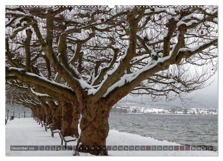 Produktbild: Bodensee Tr&auml;ume (Wandkalender 2026 DIN A2 quer), CALVENDO Monatskalender