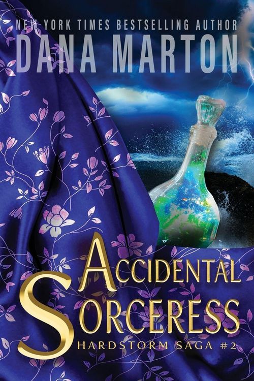 Produktbild: Accidental Sorceress