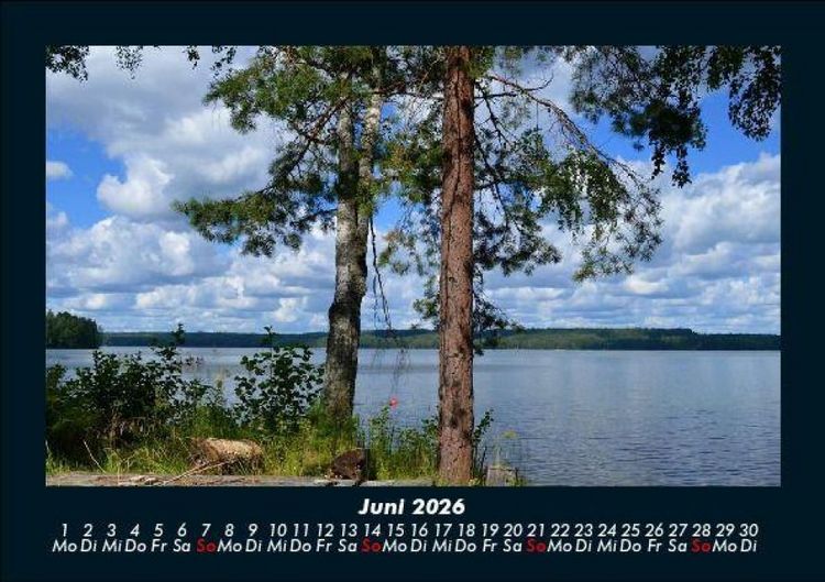 Produktbild: B&auml;ume 2026 Fotokalender DIN A5