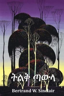 Produktbild: ትልቅ ጣውላ