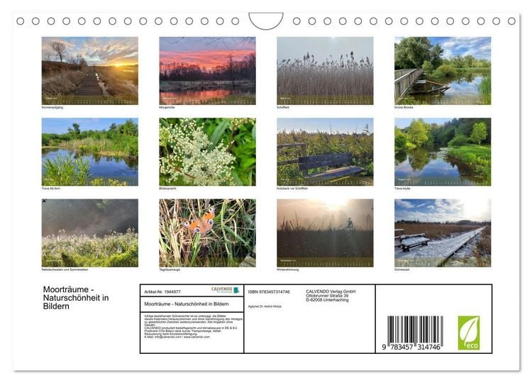 Produktbild: Moortr&auml;ume - Natursch&ouml;nheit in Bildern (Wandkalender 2026 DIN A4 quer), CALVENDO Monatskalender