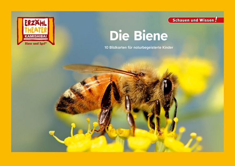 Produktbild: Die Biene / Kamishibai Bildkarten