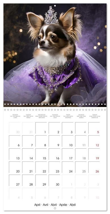 Produktbild: Grand Divas of the Dog World (Wall Calendar 2026 12 &times; 12 Inch) CALVENDO 12 Month Wall Calendar