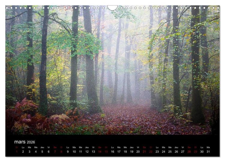 Produktbild: Lumi&egrave;res de Broc&eacute;liande (Calendrier mural 2026 DIN A3 vertical), CALVENDO calendrier mensuel