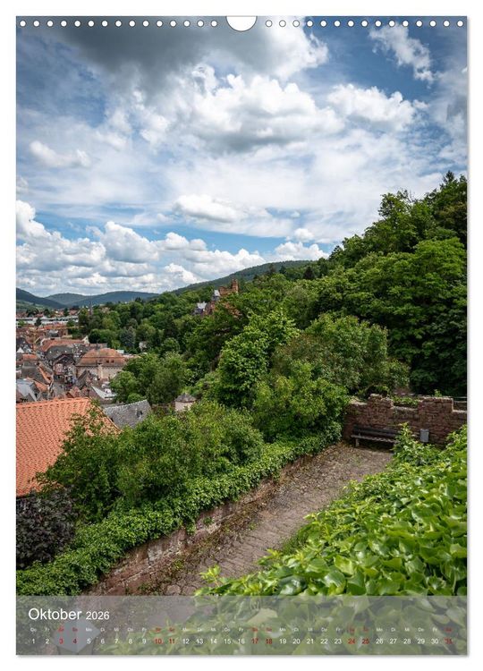 Produktbild: Miltenberg am Mainviereck (Wandkalender 2026 DIN A3 hoch), CALVENDO Monatskalender