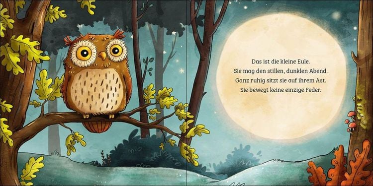 Produktbild: Mein erstes Naturbuch - Die Eule