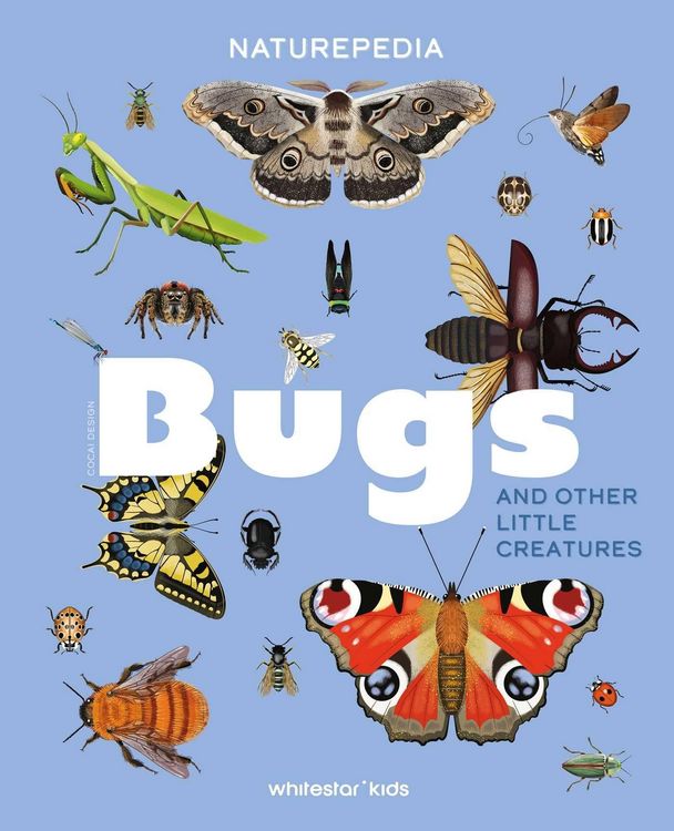 Produktbild: Naturepedia: Bugs and Little Creatures