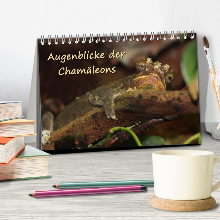 Produktbild: Augenblicke der Cham&auml;leons (Tischkalender 2026 DIN A5 quer), CALVENDO Monatskalender