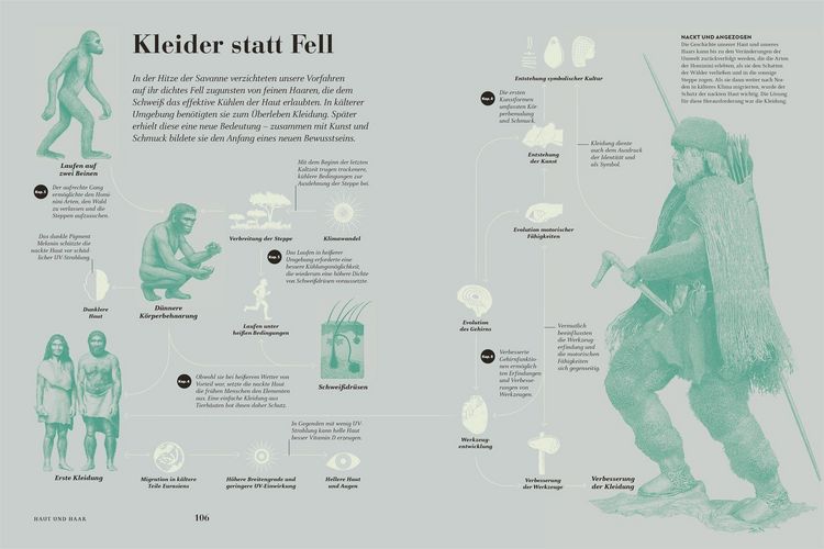 Produktbild: HUMANS. Der Mensch