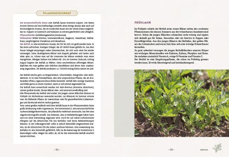 Produktbild: Die wilden Neun