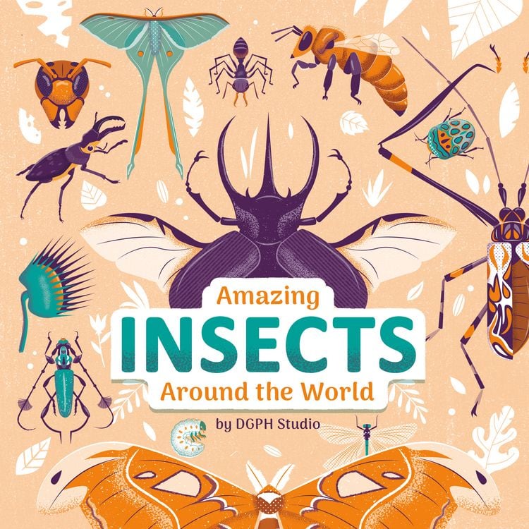 Produktbild: Amazing Insects Around the World