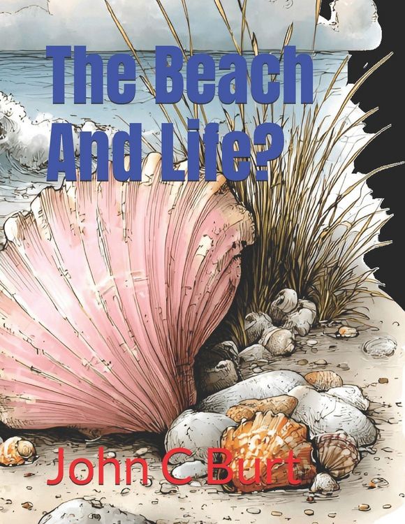 Produktbild: The Beach And Life?