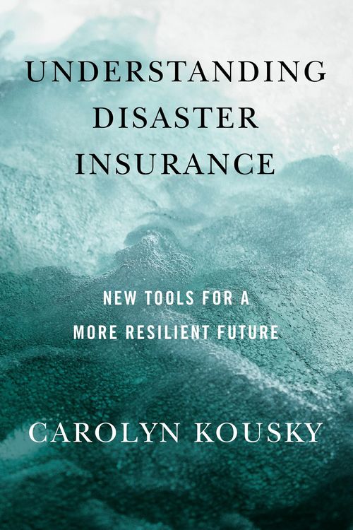 Produktbild: Understanding Disaster Insurance