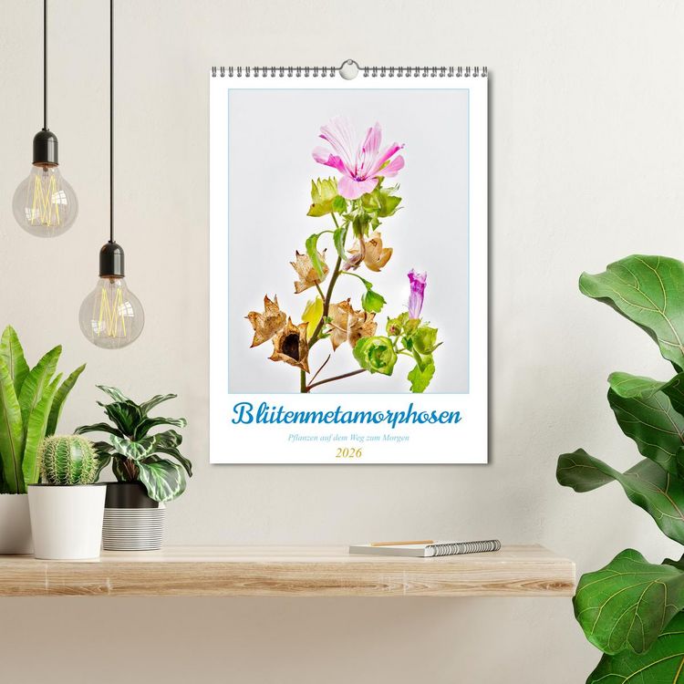 Produktbild: Bl&uuml;tenmetamorphosen (Wandkalender 2026 DIN A3 hoch), CALVENDO Monatskalender