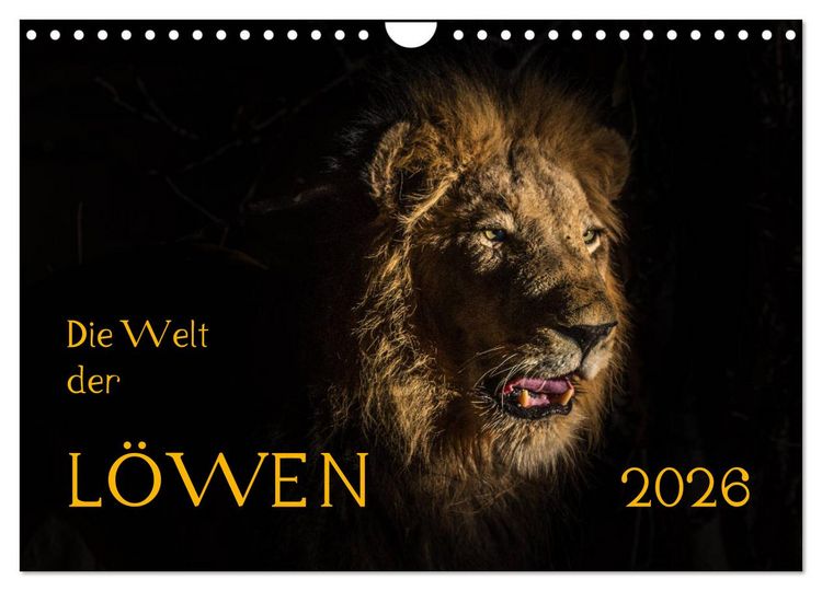 Produktbild: Die Welt der L&ouml;wen (Wandkalender 2026 DIN A4 quer), CALVENDO Monatskalender
