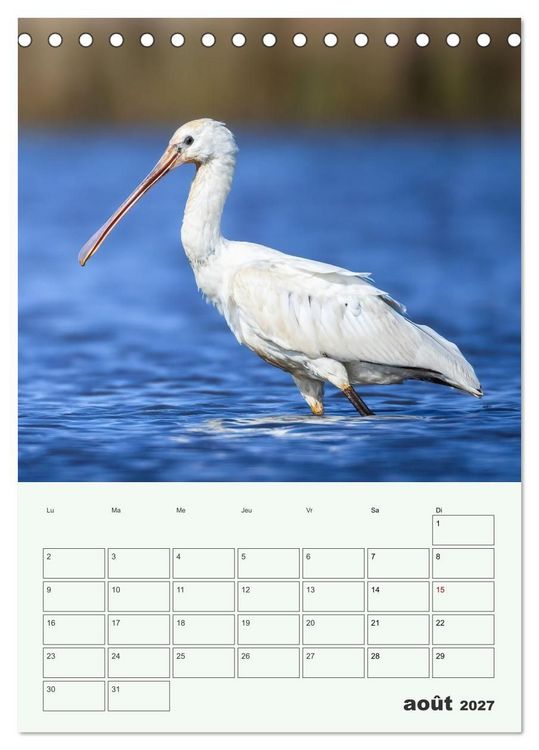 Produktbild: Voyage ornithologique (Calendrier de bureau 2027 DIN A5 horizontal), CALVENDO calendrier mensuel