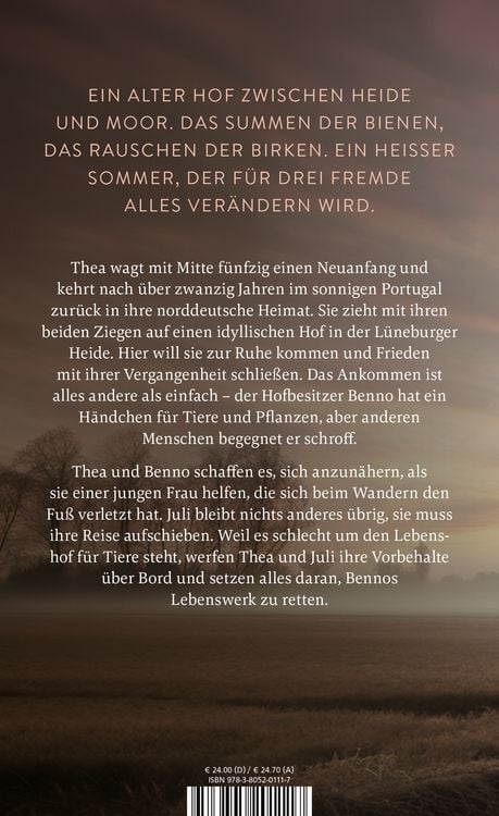 Produktbild: Das Licht in den Birken