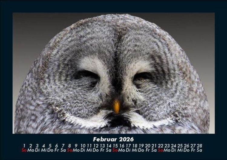 Produktbild: Vogelparadies 2026 Fotokalender DIN A5