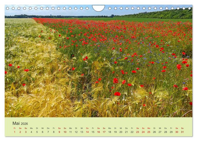 Produktbild: Wilde Blumen - ein Spaziergang durch die Natur (Wandkalender 2026 DIN A4 quer), CALVENDO Monatskalender
