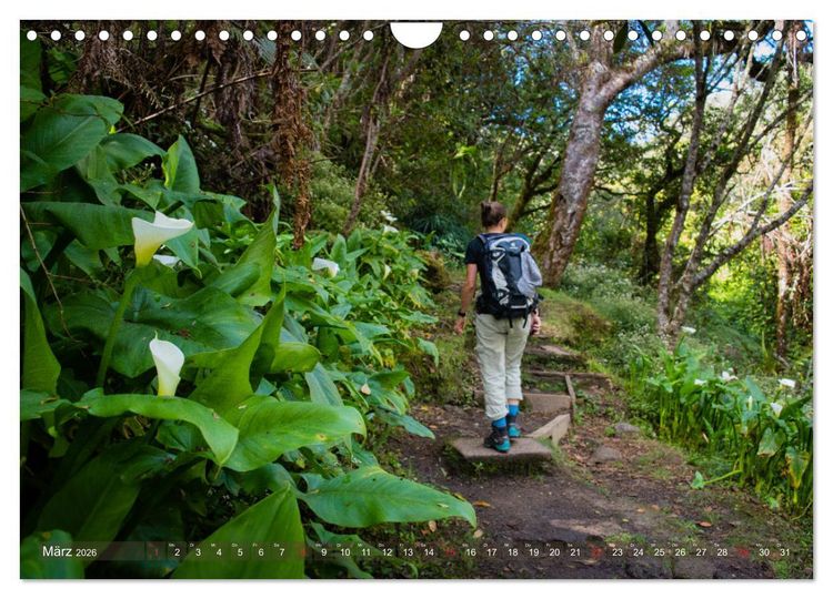 Produktbild: La R&eacute;union - Impressionen von Rolf Dietz (Wandkalender 2026 DIN A4 quer), CALVENDO Monatskalender