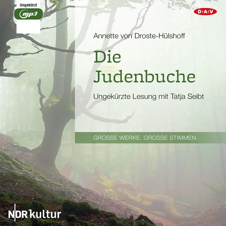 Produktbild: Die Judenbuche