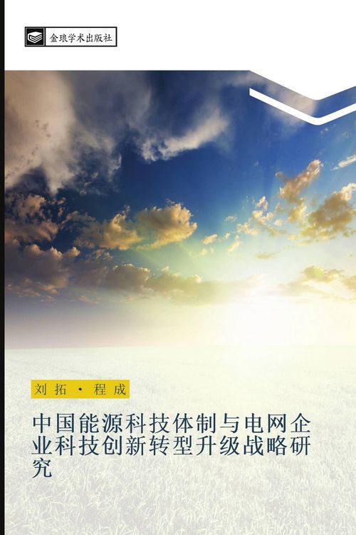 Produktbild: zhong guo neng yuan ke ji ti zhi yu dian wang qi ye ke ji chuang xin zhuan xing sheng ji zhan lve yan jiu