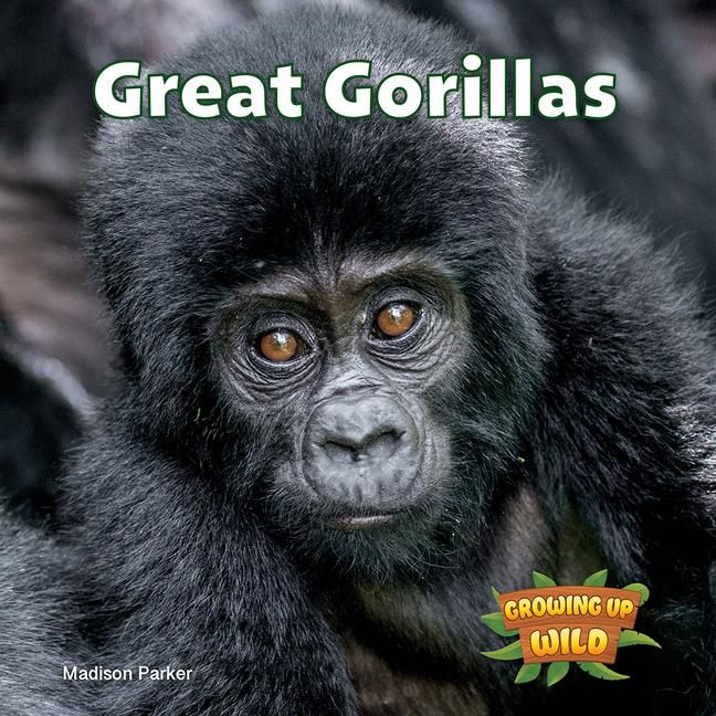 Produktbild: Great Gorillas