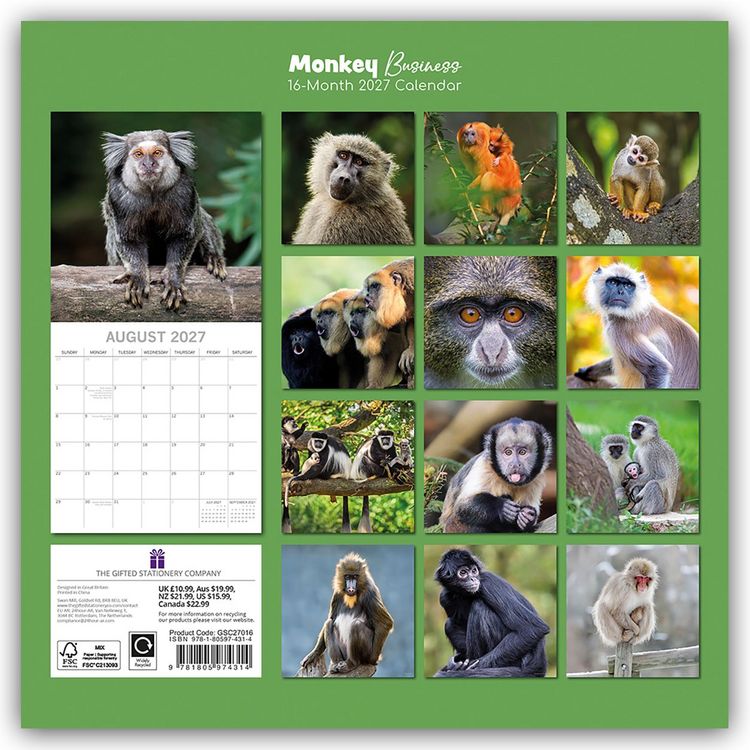 Produktbild: Monkey Business 2027 &ndash; 16-Monatskalender