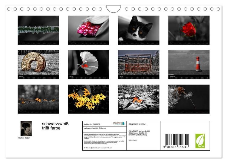 Produktbild: schwarz/wei&szlig; trifft farbe (Wandkalender 2026 DIN A4 quer), CALVENDO Monatskalender